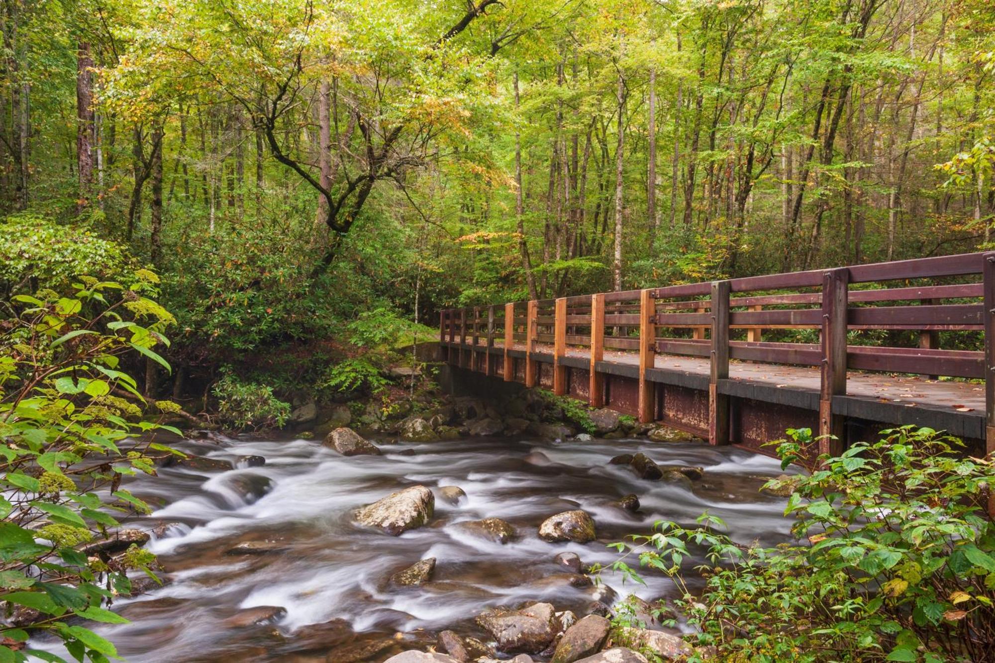 A Stones Throw, You Get 1089 Free Attraction Tickets Per Paid Day, Dollywood And Much More! Піджен-Фордж Екстер'єр фото